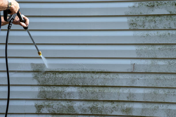 Best Basement Cleanout  in Monroeville, PA